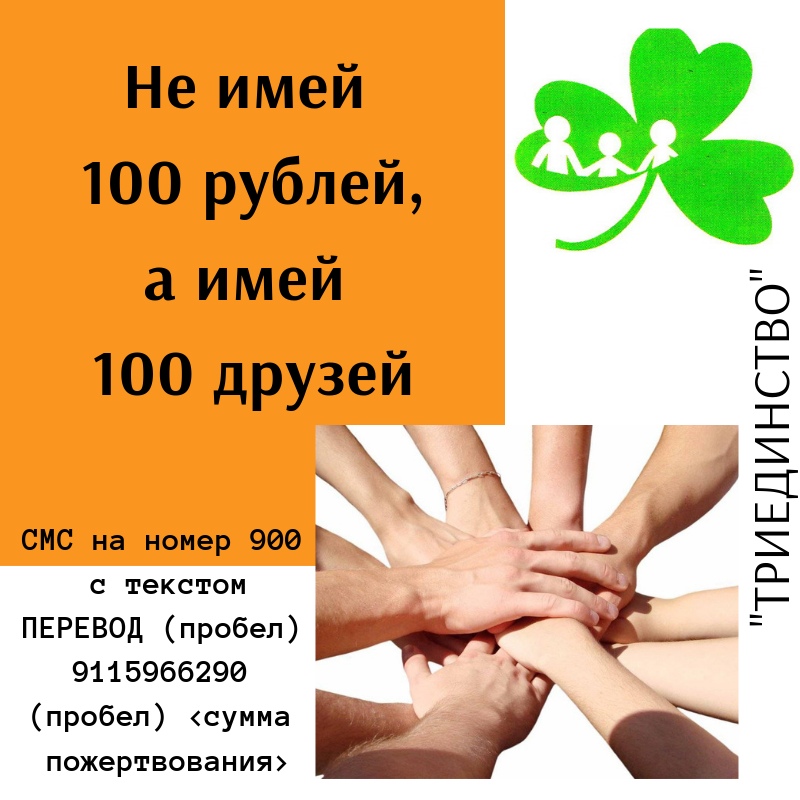 Долгосрочная акция – “Не имей 100 рублей, а имей 100 друзей!” – Благотворительная организация АРОБО "Триединство"